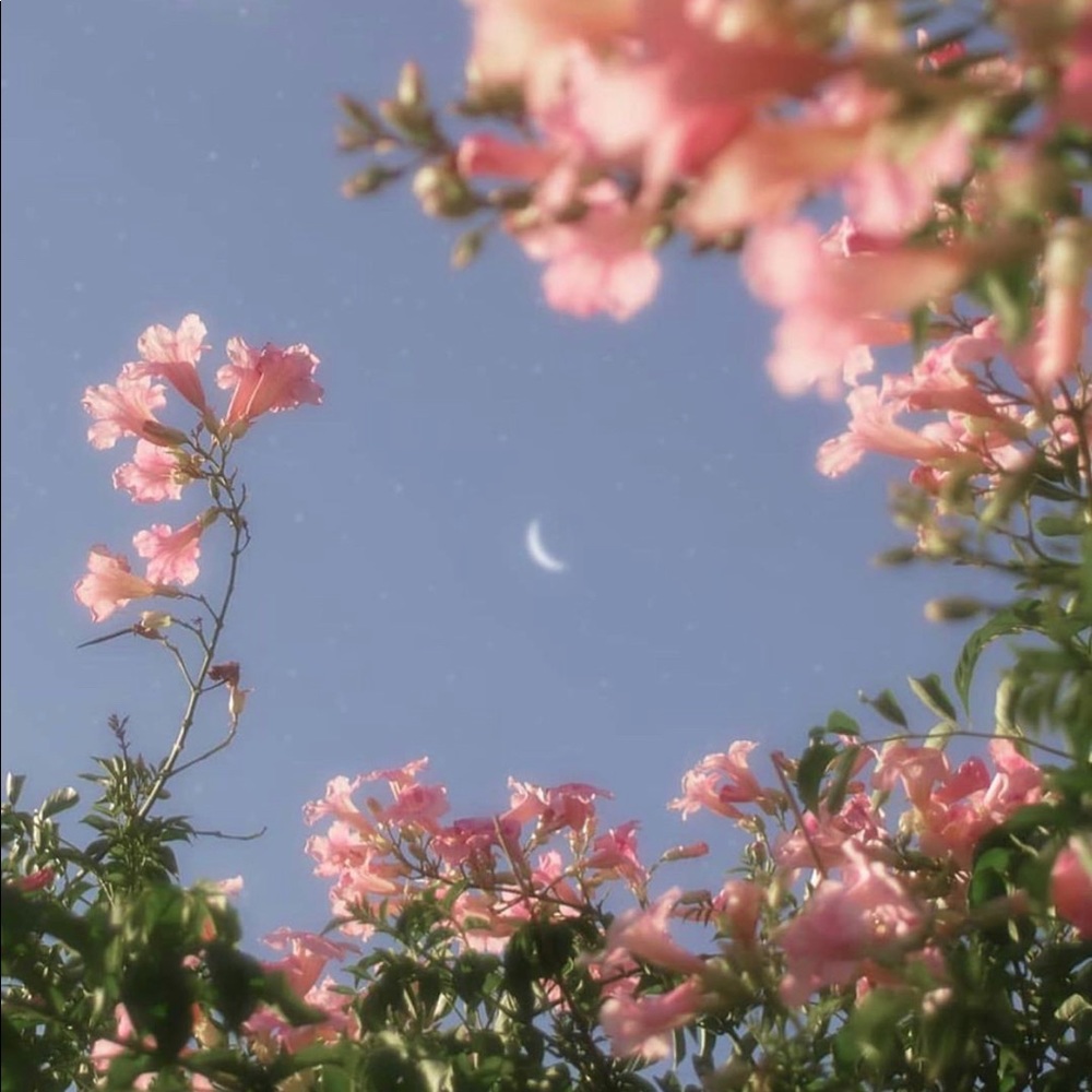 Meet your Posher, Aisha